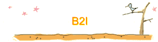 B2I