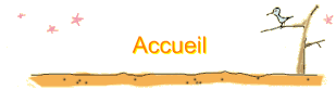 Accueil