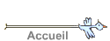 Accueil
